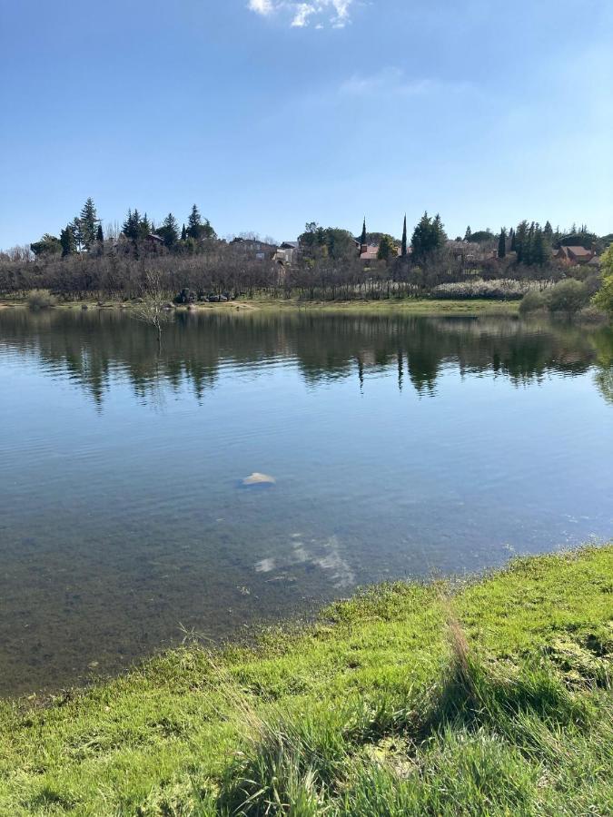 Los Cedros, Gran Chalet Con Piscina Y Apartamento En Navacerrada Villa Kültér fotó