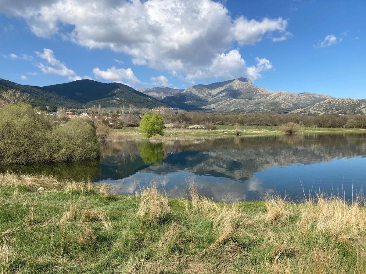 Los Cedros, Gran Chalet Con Piscina Y Apartamento En Navacerrada Villa Kültér fotó