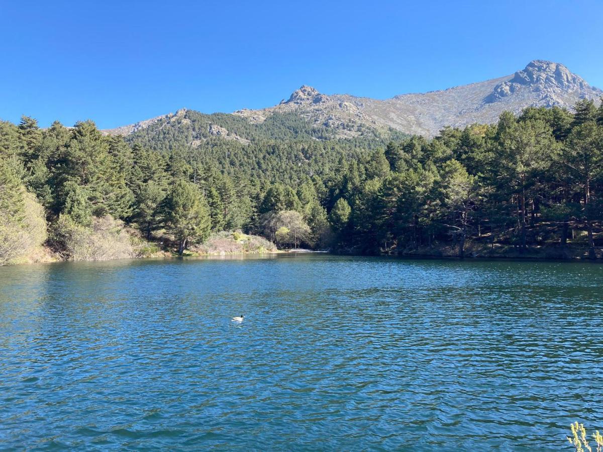 Los Cedros, Gran Chalet Con Piscina Y Apartamento En Navacerrada Villa Kültér fotó