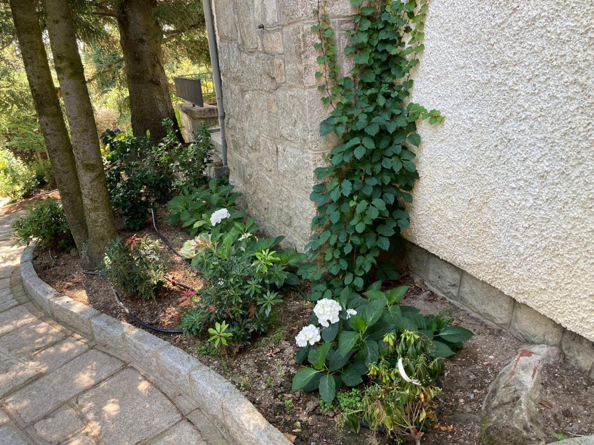 Los Cedros, Gran Chalet Con Piscina Y Apartamento En Navacerrada Kültér fotó
